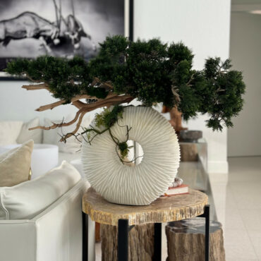 mediano eternidad jarrón con colgante bonsái árbol y madera-a-la-deriva