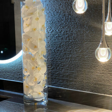 vidrio cilindro con blanco phalaenopsis orquídeas