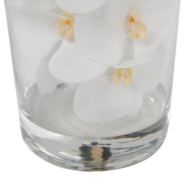 vidrio cilindro con blanco phalaenopsis orquídeas