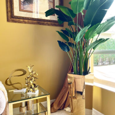 dorado cubo jardinera con ave de paraíso (7′)