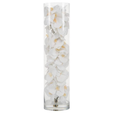 vidrio cilindro con blanco phalaenopsis orquídeas