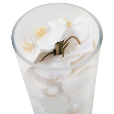 vidrio cilindro con blanco phalaenopsis orquídeas